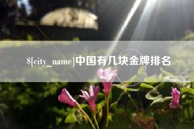 哈尔滨中国有几块金牌排名