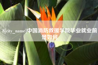 哈尔滨中国消防救援学院毕业就业前景如何