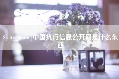 哈尔滨中国执行信息公开网是什么东西