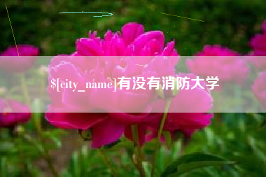 哈尔滨有没有消防大学
