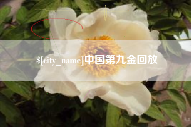 哈尔滨中国第九金回放
