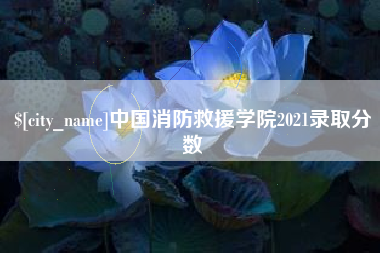 哈尔滨中国消防救援学院2021录取分数