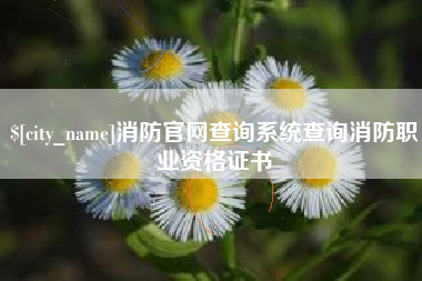 哈尔滨消防官网查询系统查询消防职业资格证书