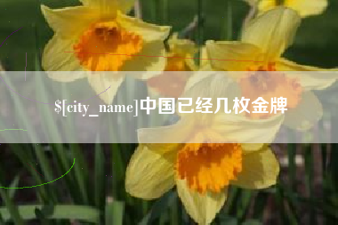 哈尔滨中国已经几枚金牌