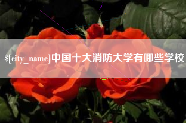 哈尔滨中国十大消防大学有哪些学校