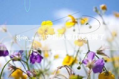哈尔滨中国队拿几块金牌了
