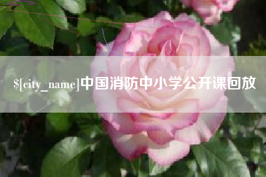 哈尔滨中国消防中小学公开课回放