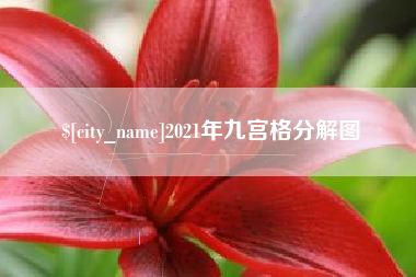 哈尔滨2021年九宫格分解图