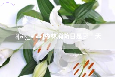 哈尔滨森林消防日是哪一天
