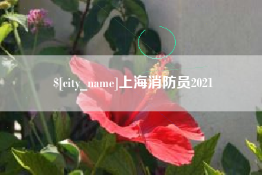哈尔滨上海消防员2021
