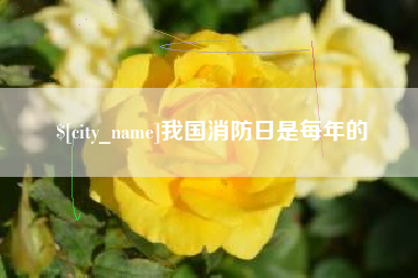 哈尔滨我国消防日是每年的