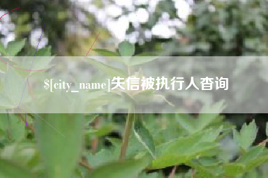 哈尔滨失信被执行人杳询
