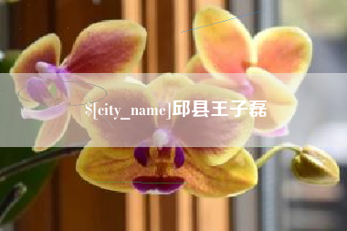 哈尔滨邱县王子磊