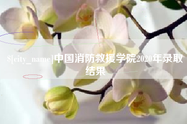 哈尔滨中国消防救援学院2020年录取结果
