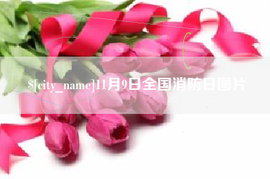 哈尔滨11月9日全国消防日图片