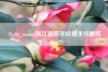 哈尔滨浙江消防学校招生分数线