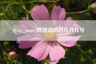 哈尔滨我国消防日几月几号