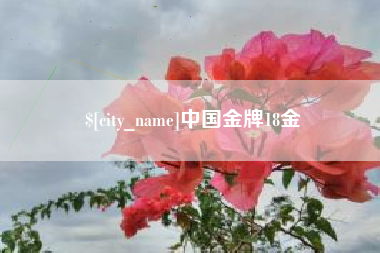 哈尔滨中国金牌18金