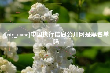 哈尔滨中国执行信息公开网是黑名单吗