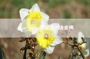 哈尔滨奥运会39块金牌