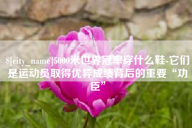哈尔滨5000米世界冠军穿什么鞋-它们是运动员取得优异成绩背后的重要“功臣”
