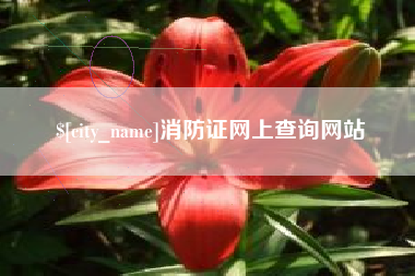 哈尔滨消防证网上查询网站
