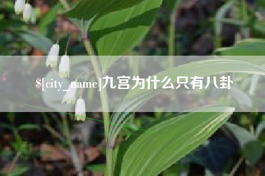 哈尔滨九宫为什么只有八卦