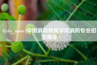 哈尔滨中国消防救援学院消防专业招生简章