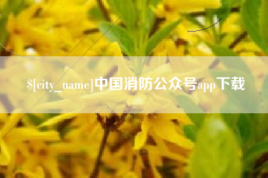 哈尔滨中国消防公众号app下载