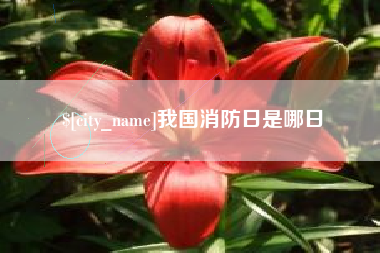 哈尔滨我国消防日是哪日