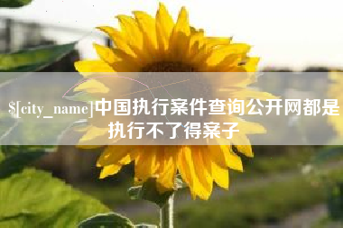 哈尔滨中国执行案件查询公开网都是执行不了得案子
