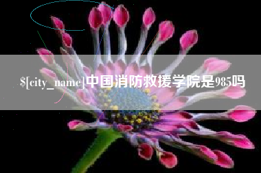 哈尔滨中国消防救援学院是985吗