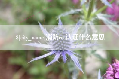 哈尔滨消防ccc认证什么意思