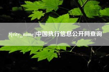哈尔滨中国执行信息公开网查询