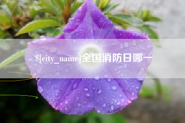 哈尔滨全国消防日哪一