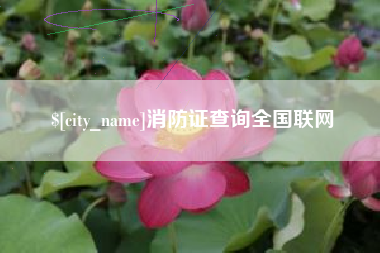 哈尔滨消防证查询全国联网