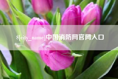 哈尔滨中国消防网官网入口