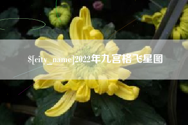 哈尔滨2022年九宫格飞星图