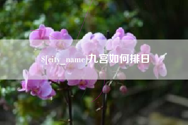 哈尔滨九宫如何排日