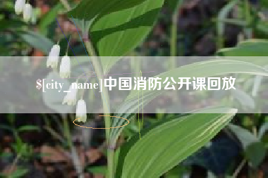 哈尔滨中国消防公开课回放