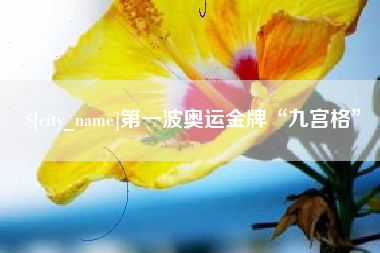 哈尔滨第一波奥运金牌“九宫格”