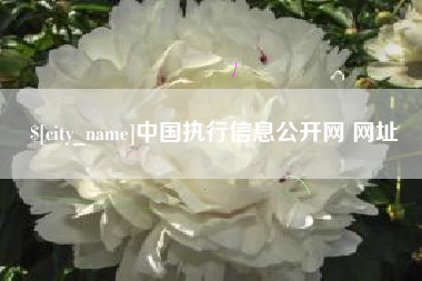 哈尔滨中国执行信息公开网 网址