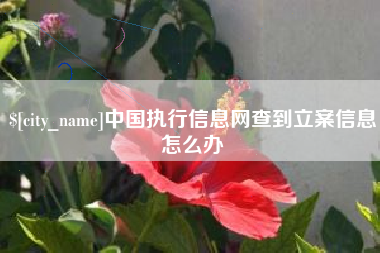 哈尔滨中国执行信息网查到立案信息怎么办