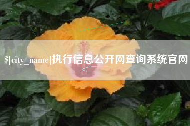哈尔滨执行信息公开网查询系统官网