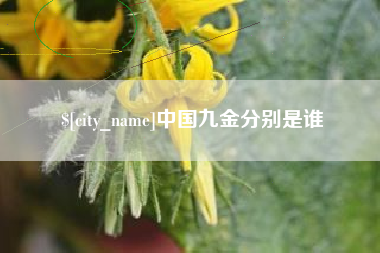 哈尔滨中国九金分别是谁