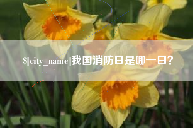 哈尔滨我国消防日是哪一日？