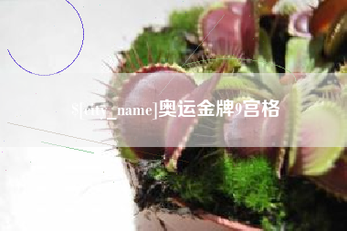 哈尔滨奥运金牌9宫格