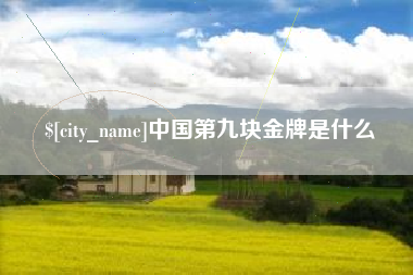 哈尔滨中国第九块金牌是什么