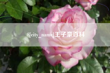 哈尔滨王子豪百科