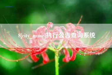 哈尔滨执行公告查询系统